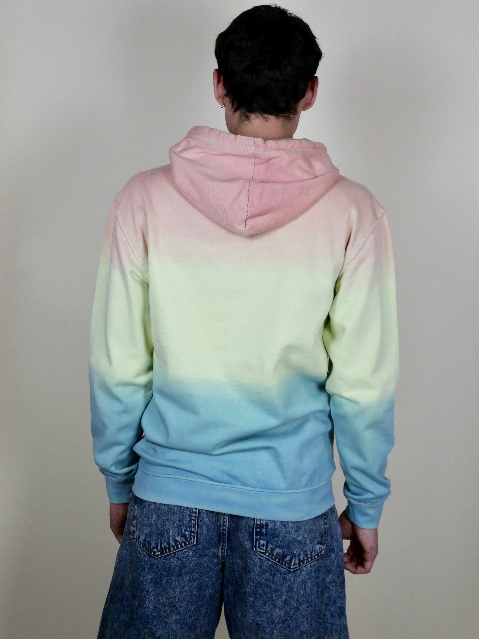 Sweat à capuche homme / unisexe en coton doux