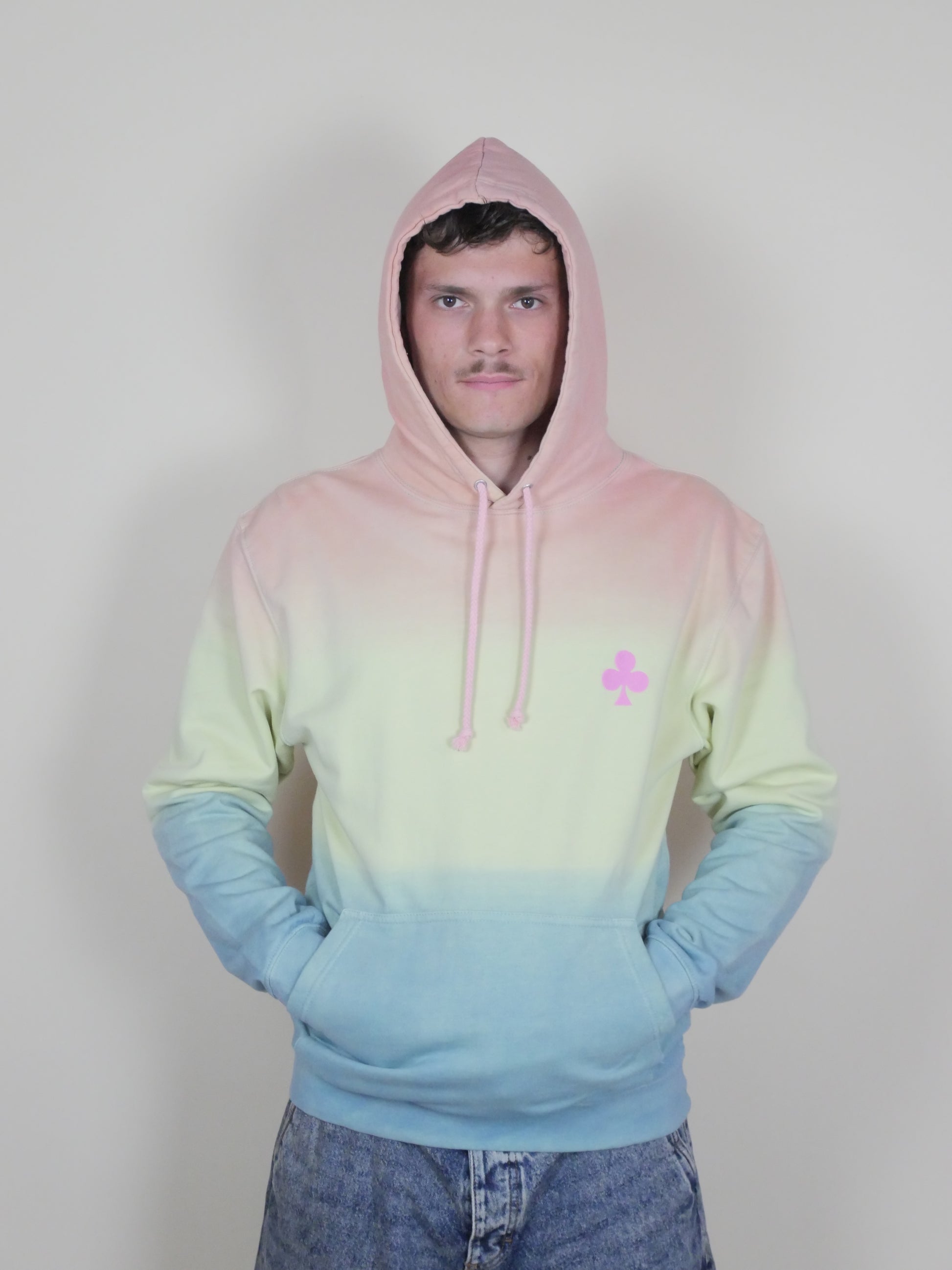 Hoodie multicolore effet dégradé unique trèfle rose brodé 
